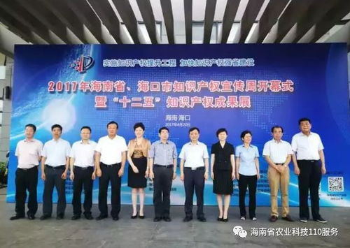 2017年海南省知識產(chǎn)權十大社會關注熱點 聚焦服務創(chuàng)新與產(chǎn)業(yè)升級
