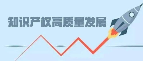 交出知識產(chǎn)權高質量發(fā)展湖南答卷 打造創(chuàng)新高地，賦能產(chǎn)業(yè)未來